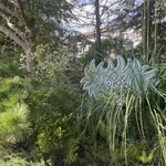 Little Darling Coffee Roasters - 