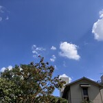 つるり SOBA Stand - 