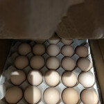 東北養鶏直売所 - 