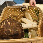 馳走 啐啄一十  - 【写真⑤】松茸(広島県庄原市)