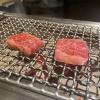 赤身焼肉 かるびあーの 新橋店 - かいのみ