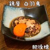 鶏屋 白羽鳥