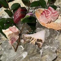 福島 もう利 - くじら　カツオ　鯛