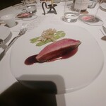 レフェルヴェソンス - 