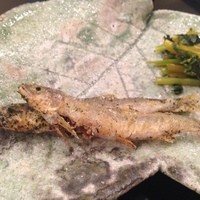 お料理 ふじ原 - 