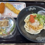 はなまるうどん - 料理写真: