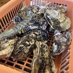 ケンちゃんかき - 