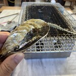 ケンちゃんかき - 