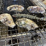 ケンちゃんかき - 