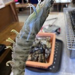 ケンちゃんかき - 