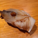 鮨 さかい - ⑬北寄貝(北海道長万部産)、刻み醤油漬け生姜載せ
      産卵期は初夏～夏、旬は秋～春
      大きなサイズ、裏のモフモフ食感と身のコリ感、癖がなく旨みもあり楽しい