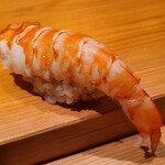 鮨 さかい - ⑳車海老(熊本県天草産、養殖)
      産卵も旬も初夏～初秋
      茹で立てをお弟子さんが熱々に耐えて剥きます
      車海老はぷりぷり、温かなシャリがググッと沈み込み、口に入れると華やかな甘みと旨味が押し寄せます