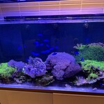 中国料理 盤古殿 - 