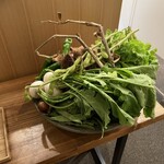 アグリスケープ - 