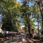 大宮 寿司 いし山 - 