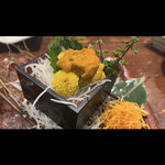 えびす鯛 - 生ウニのお造り。1580円。