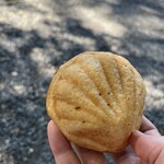 ファイブラン - 話題のクリームパン