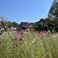 杉・五兵衛 - 