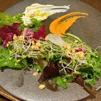 TOOTH TOOTH TOKYO - 