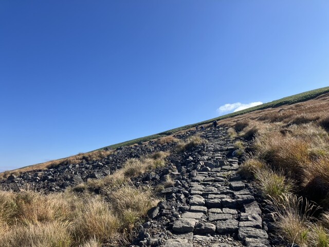 稲倉山荘 - 象潟（麺類）の写真
