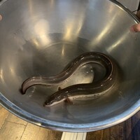 炭焼鰻 寝床 福島店 - 