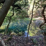 中華そば 琴の - 丸池様