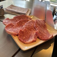 THE KOBECRUISE コンチェルト - 