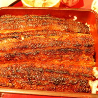 鰻う おか冨士 - うな重アップ