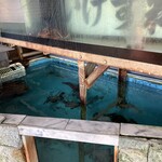 網元磯料理はるひら丸 - 