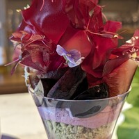 GENTLE Dining - 
