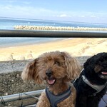 うおたけ鮮魚店やけんど 海鮮どんや - 