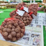 道の駅 はしかみ - 