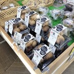 道の駅 はしかみ - 
