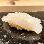 すし博 - 結 8800円
      （ランチコース料理）
      にぎり 福岡 白イカ