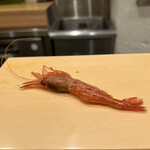 日本橋 鮨 しば - 