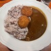 カレーの店 ぷりずむ 三宮店