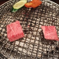 飛騨牛一頭家 馬喰一代 銀座 - 