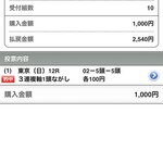 ふくろう - 最終レースも