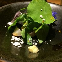 焼鳥 市松 - 野菜と鶏のコース6500円① 鶏のお刺身とサラダ