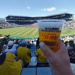 阪神甲子園球場 - 