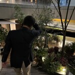 アッピア アルタ - 