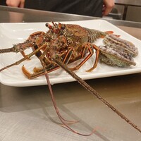 mahoroba 鉄板 心斎橋 - 