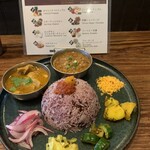 Curry Spice Gelateria KALPASI - 