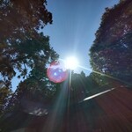 そば処 時遊庵 あさかわ - 水も良ければ空気も綺麗な安曇野市穂高