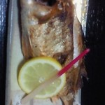 うちやま魚料理 - 