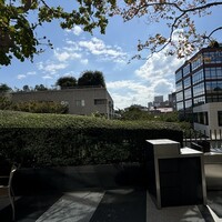 フレンチ キッチン - 