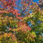 Chikufu Do Karuizawa Ekimaeten