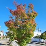 Chikufu Do Karuizawa Ekimaeten