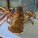 中国料理 神戸壺中天 - 