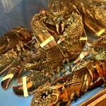 中国料理 神戸壺中天 - 